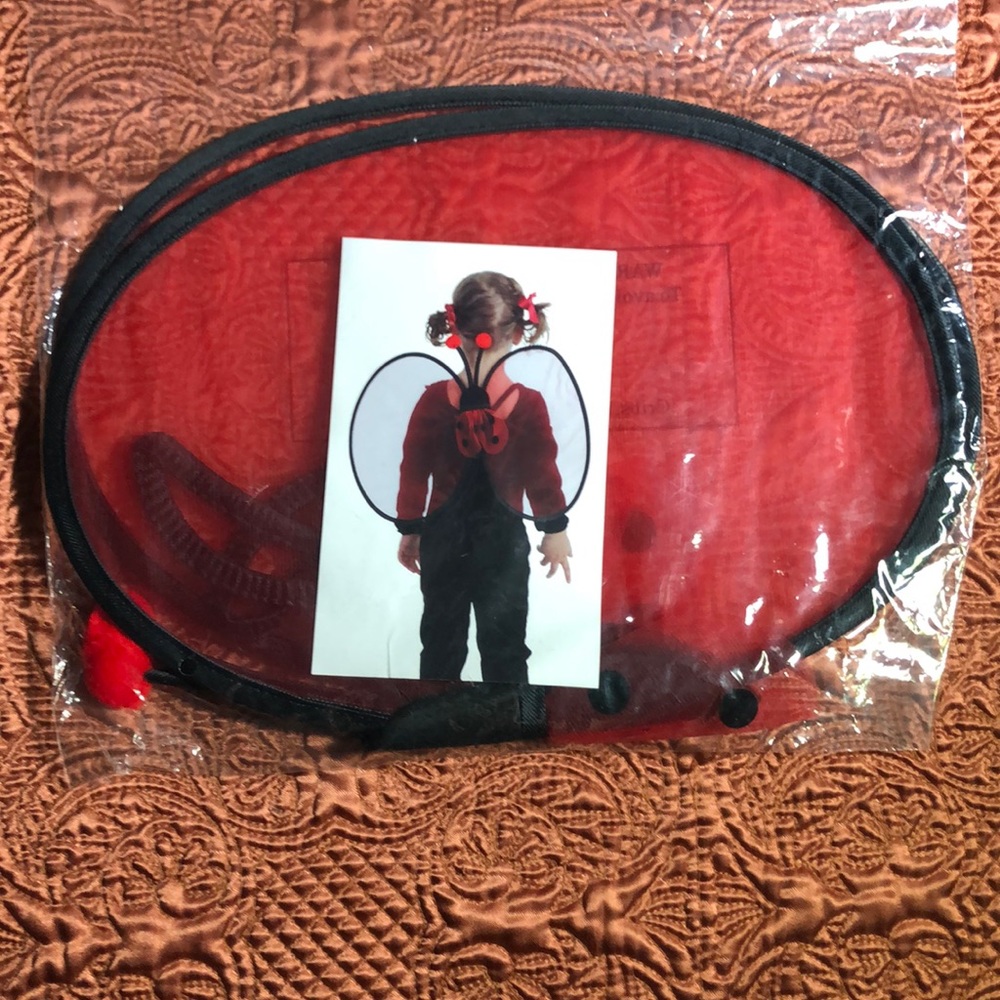 🎃 Lady Bug Butterfly Halloween Costume Wings